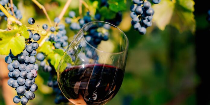 Trouble-in-wine-country-Californias-grape-crush-last-year-was.jpg