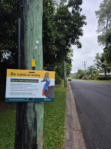 Queensland Government Department of the Environment, Tourism, Science, and Innovation A sign warning people not to feed cassowaries in Australia