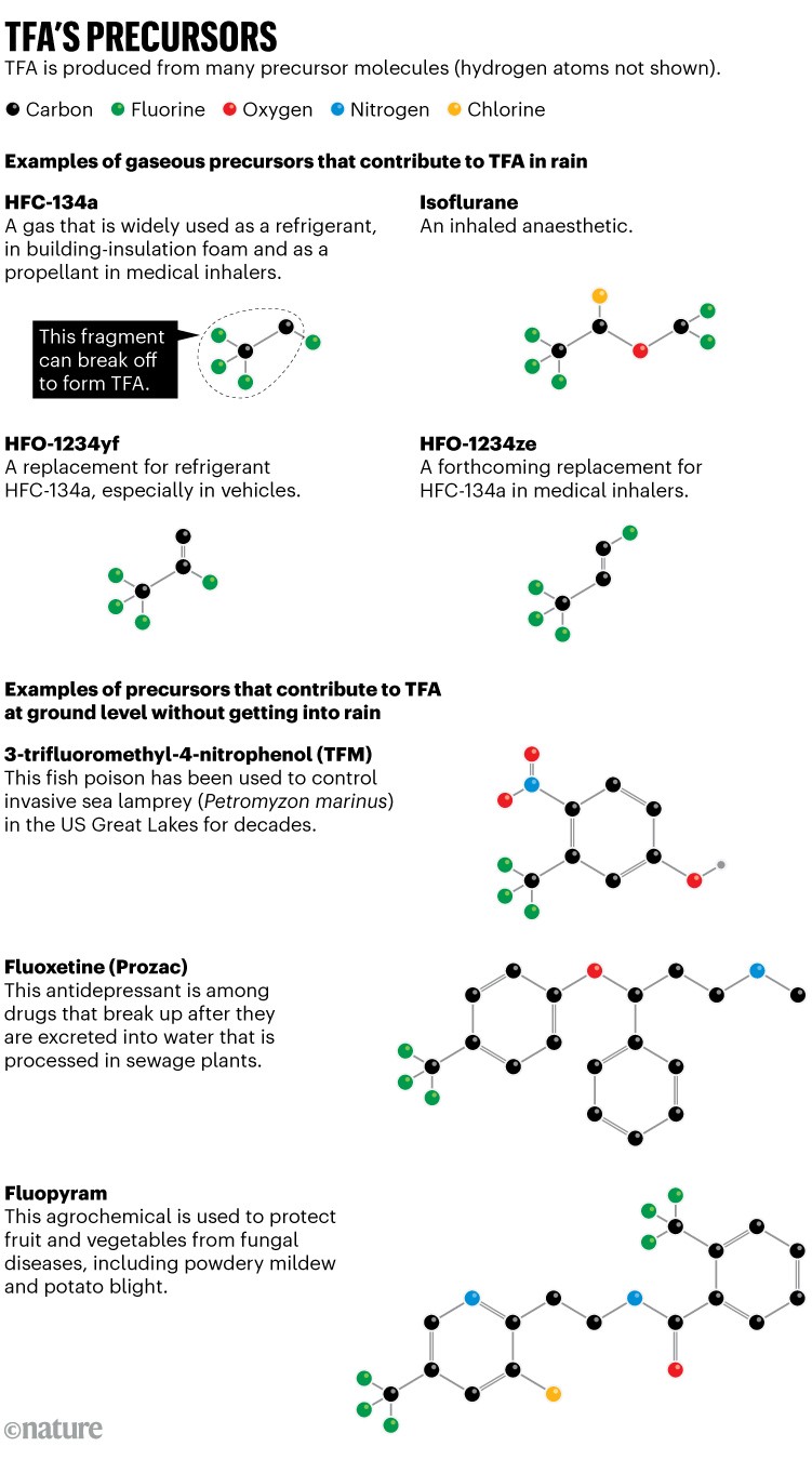 TFA’s precursors. Chemical structures of some of the many precursor molecules that produces TFA. Examples of gaseous precursors that contribute to TFA in rain and precursors that contribute to TFA at ground level without getting into rain are shown.