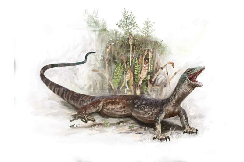 A reconstruction of Breugnathair elgolensis. Credit: National Museums Scotland Brennan Stokkermans New discovery of Jurassic reptile blurs the line between snake and lizard