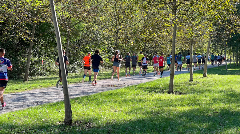 People race where cars used to in Monza Park, Italy, in 2024.