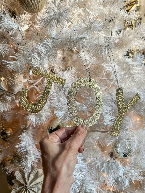 My Everyday Life Week 50 of 2025- Tracy Benjamin of Shutterbean.com