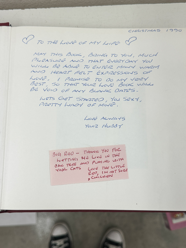 My Everyday Life Week 50 of 2025- Tracy Benjamin of Shutterbean.com